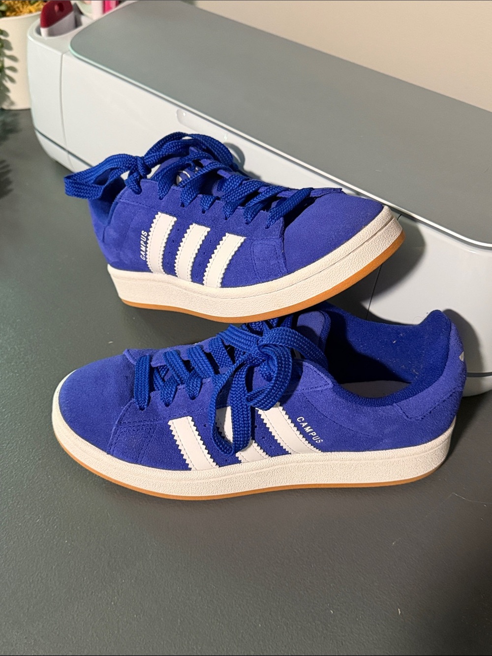 adidas 00 Campus Suede Sneakers in Blue and White